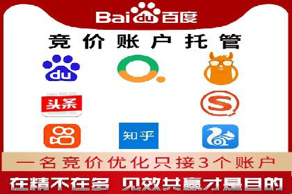 竞价推广成功案例解析